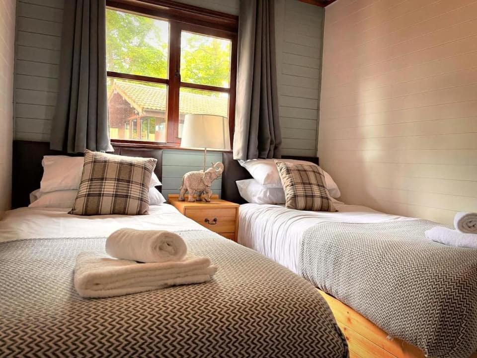 Goldcrest 3-Hot Tub-Woodland Lodges-Carmarthenshire-Tenby Ngoại thất bức ảnh